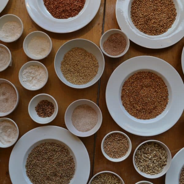 {:nl}oergranen{:}{:en}ancient grains{:}