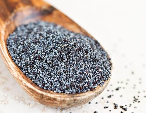 {:nl}maanzaad{:}{:en}poppy seed{:}