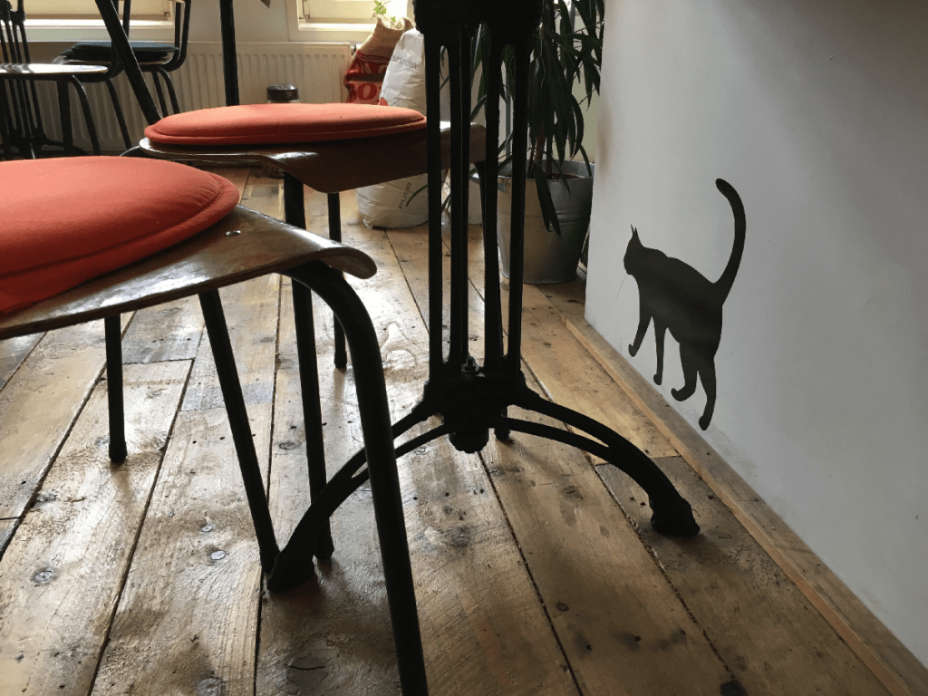 zwarte kat