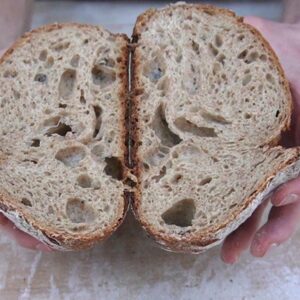Fresh Sourdough Starter From Our Bakery