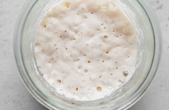 sourdough starter